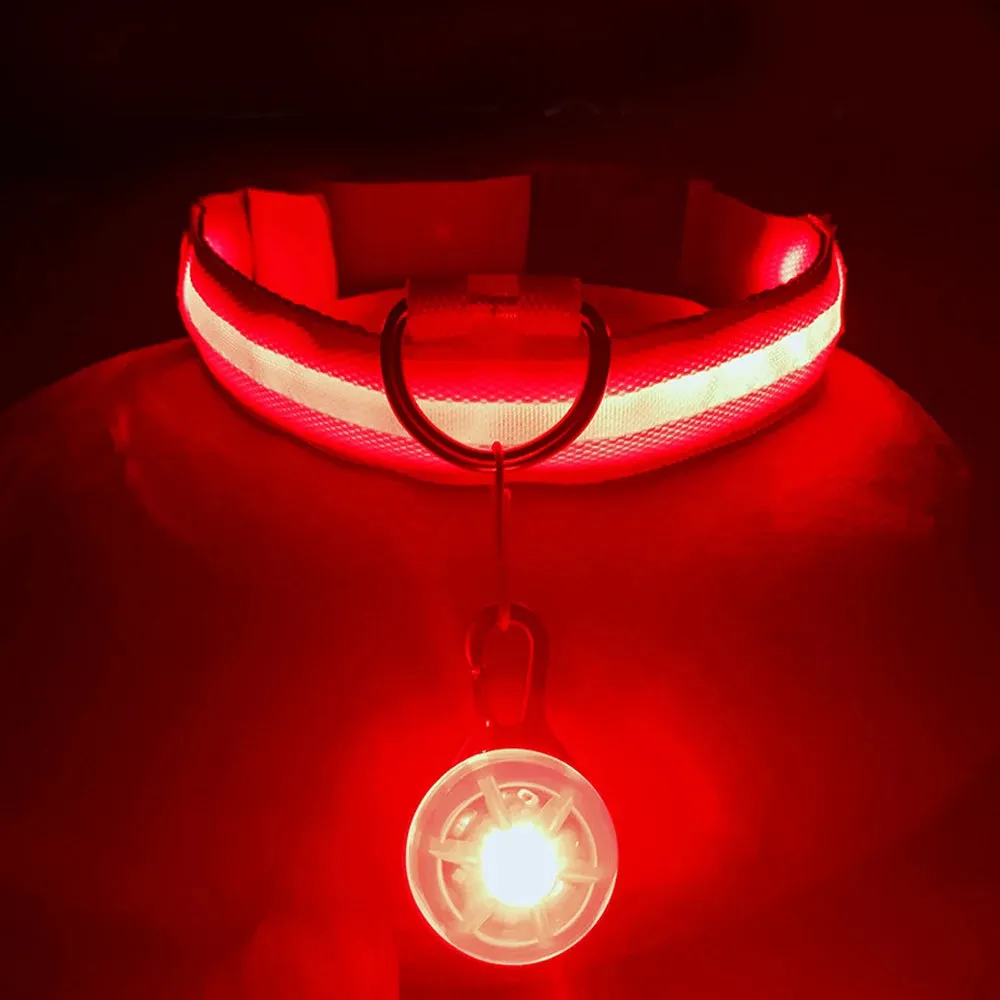 USB Charging LED Dog Collar - Glowing Night Safety for Small Pets