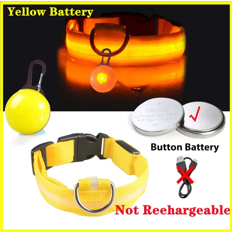 USB Charging LED Dog Collar - Glowing Night Safety for Small Pets
