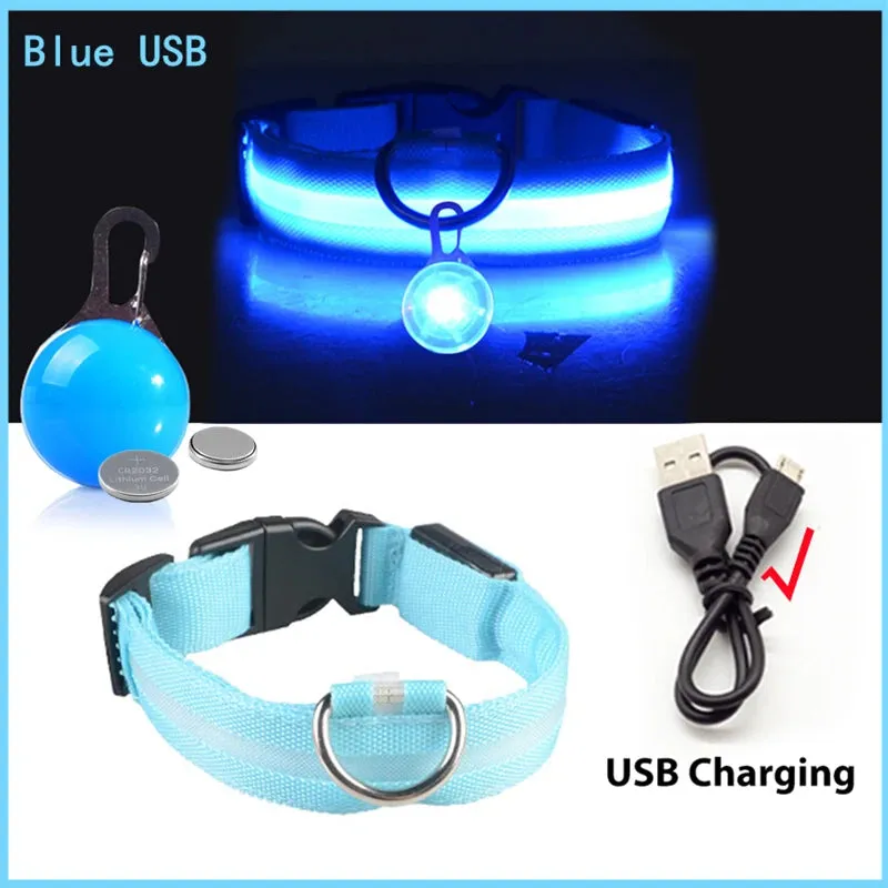 USB Charging LED Dog Collar - Glowing Night Safety for Small Pets