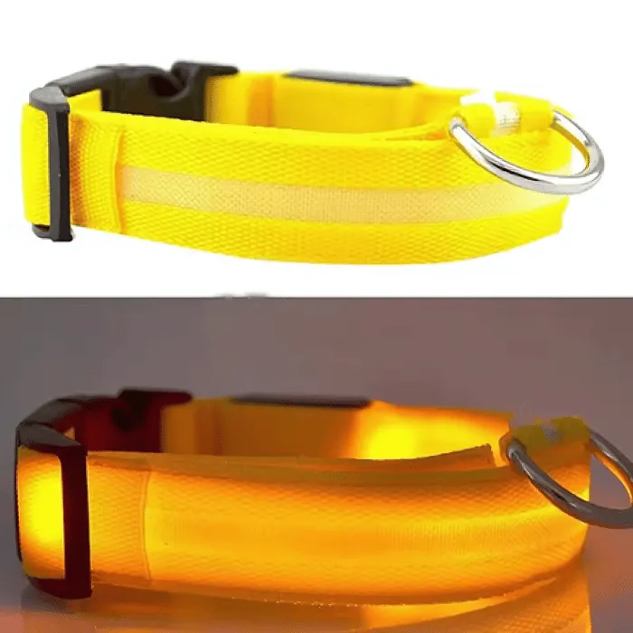 USB Rechargeable LED Dog Collar – High Visibility & Adjustable Fit