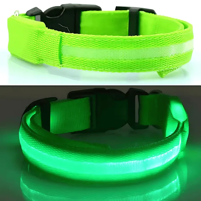 USB Rechargeable LED Dog Collar – High Visibility & Adjustable Fit