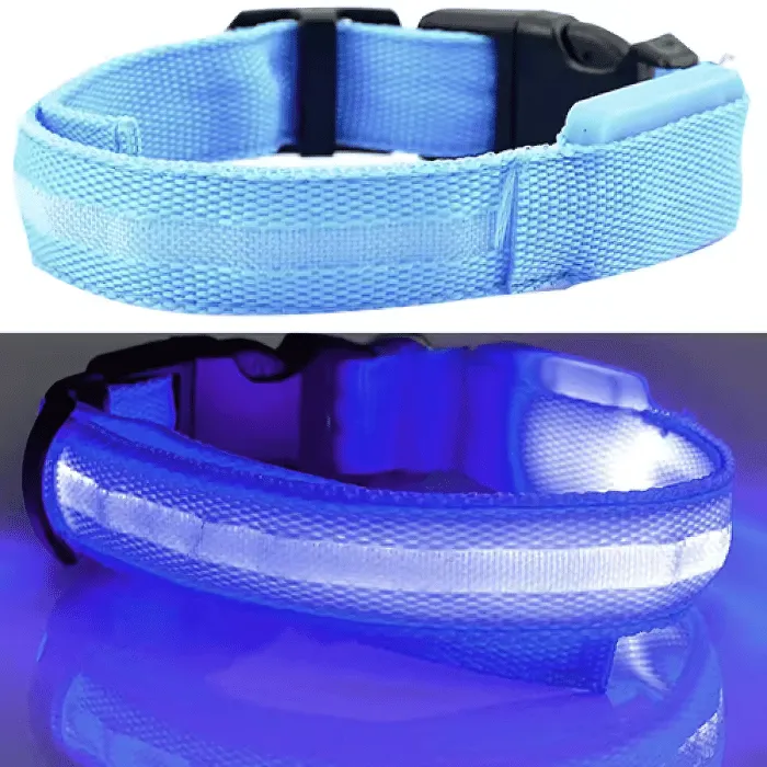 USB Rechargeable LED Dog Collar – High Visibility & Adjustable Fit