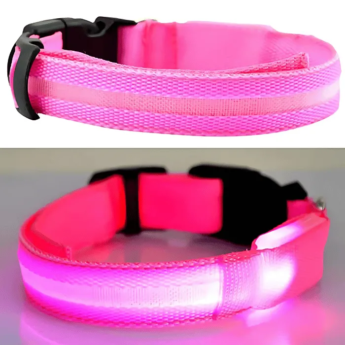 USB Rechargeable LED Dog Collar – High Visibility & Adjustable Fit
