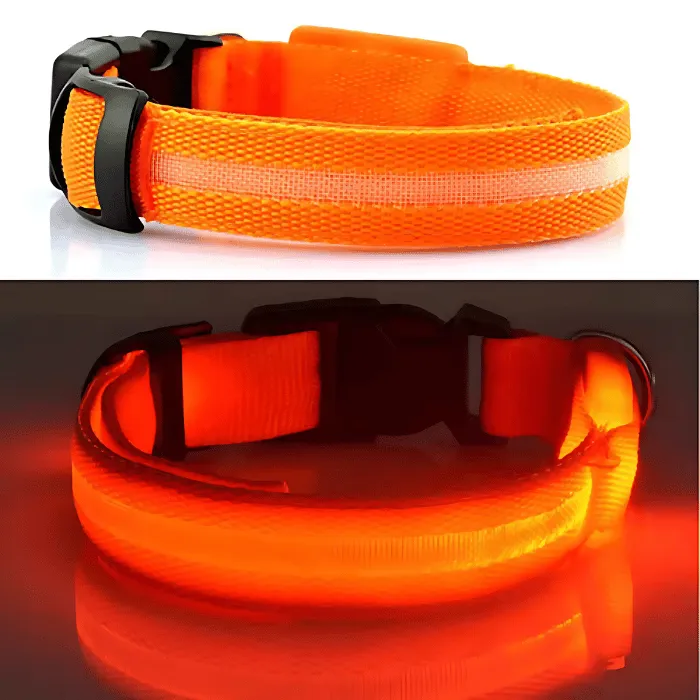 USB Rechargeable LED Dog Collar – High Visibility & Adjustable Fit