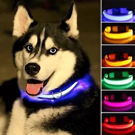 USB Rechargeable LED Dog Collar – High Visibility & Adjustable Fit