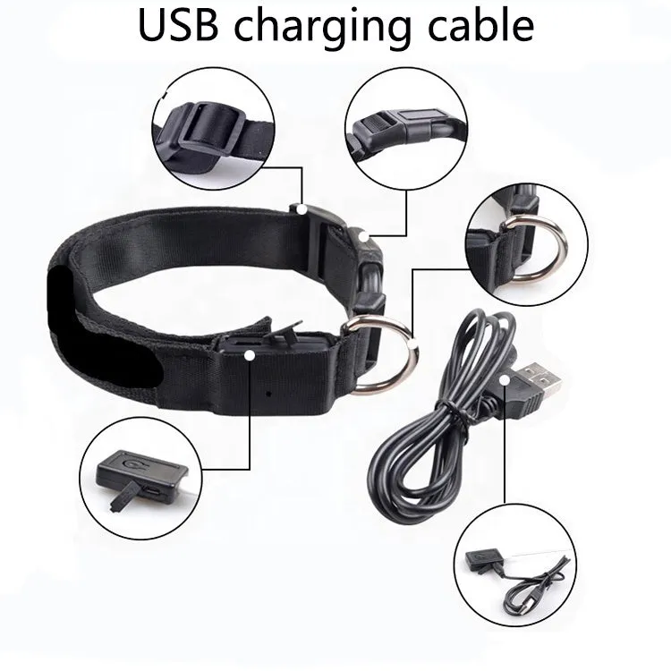 USB Rechargeable LED Dog Collar – High Visibility & Adjustable Fit