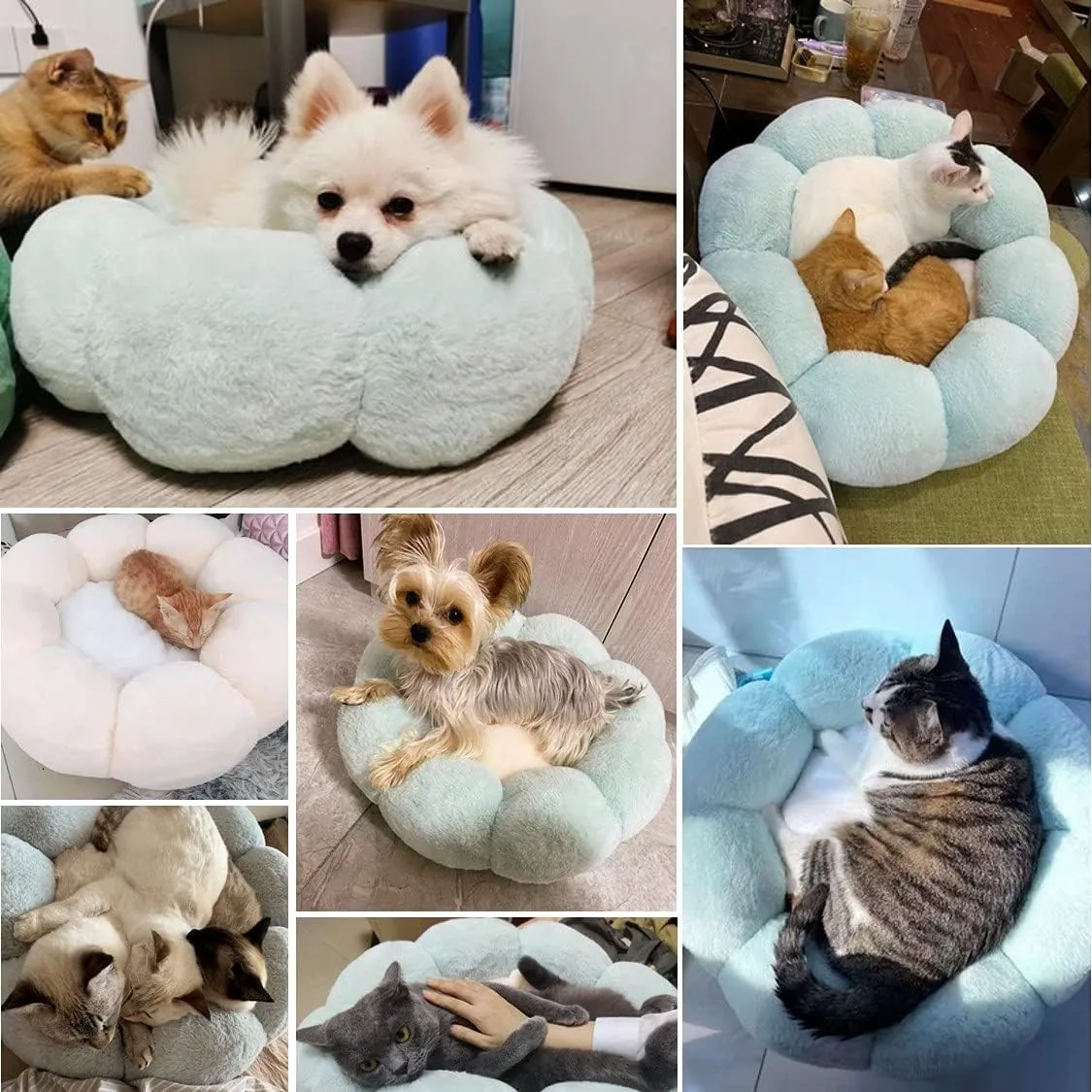 Warm Plush Pet Cat Bed, Soft Flower Kitten Cushion Mat Cute Puppy Cat Cuddler for Winter Carpet for Puppy Kitten
